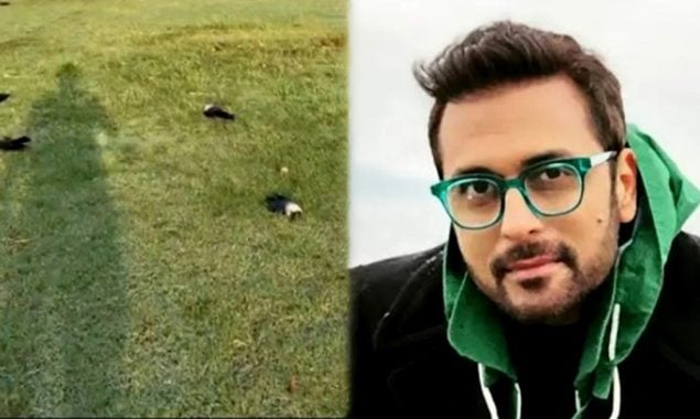 کراچی کے پارک میں درجنوں مردہ کوے؛ بلال مقصود کی ویڈیو وائرل