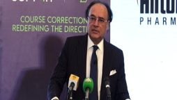 حکومت نے 24 سرکاری ادارے فروخت کرنے کا فیصلہ کرلیا، وزیر خزانہ