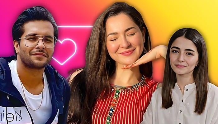 ہانیہ کے بعد میرب علی کی عاصم اظہر کے کنسرٹ میں انٹری؟ گلوکار نے حقیقت بتادی