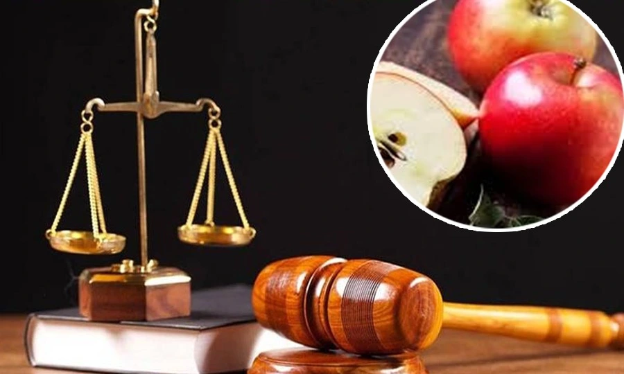 لاہور پولیس کا انوکھا کارنامہ، سیب اور ہینڈ واش چوری پر مقدمہ درج