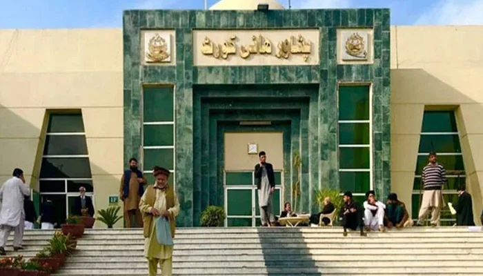 پشاور ہائی کورٹ کا کے پی حکومت کی سرکاری مشینری کے سیاسی استعمال پر سخت فیصلہ