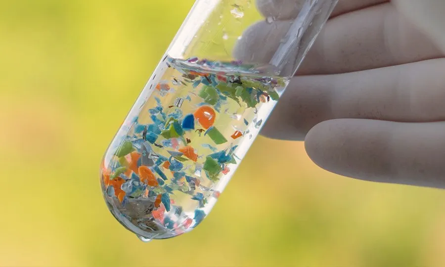 مائیکرو پلاسٹک کا ایک اور نقصان سامنے آگیا