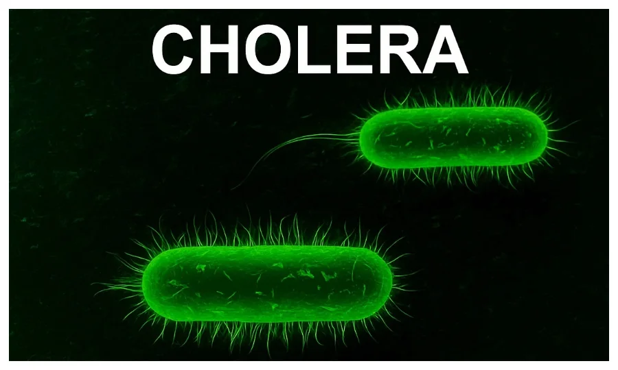 بلوچستان میں ہیضہ پھیل گیا، 8 افراد جاں بحق ہو گئے