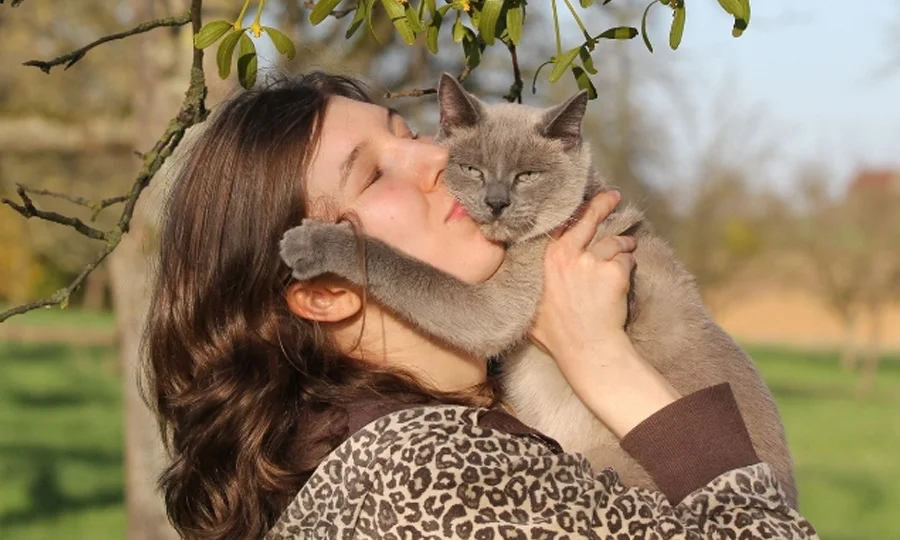 بلی کی زبان سمجھنا ہوا آسان، سائنس دانوں نے سادہ راز بتادیا