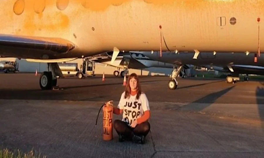 معروف گلوکارہ کے جہاز پر اسپرے کرنے والے ماحولیاتی کارکنان کو سزا کیوں نہیں ملی؟