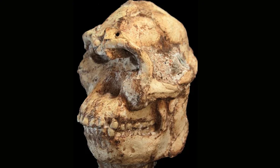 ’’لٹل فوٹ‘‘ انسانی خاندان کا ممکنہ نیا رکن