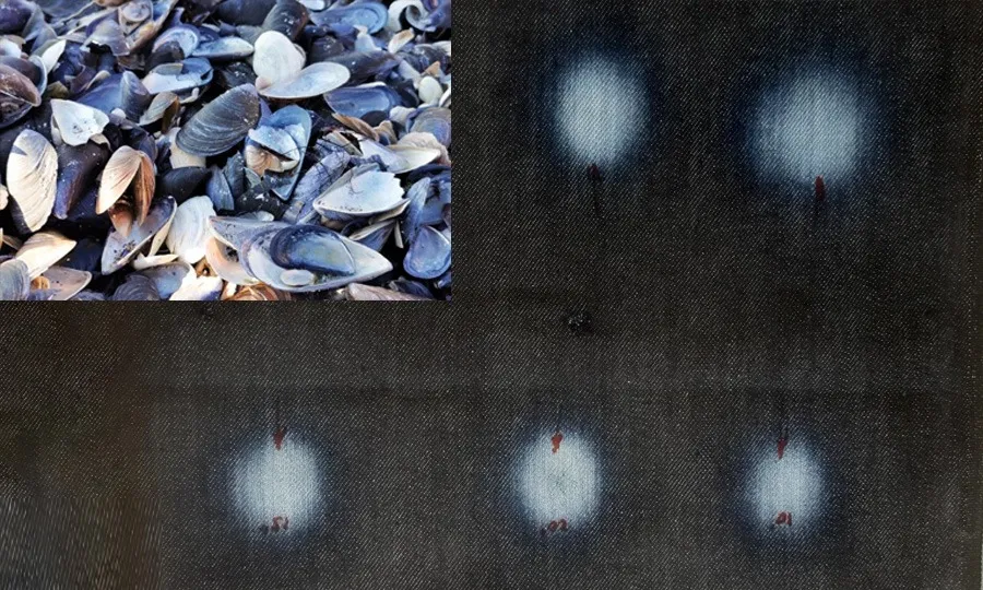 جینز کو پرانا دکھانے کیلئے شیل فش کے خول کا حیران کن استعمال