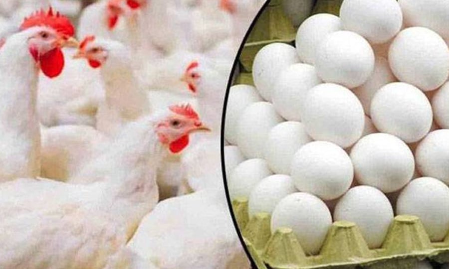 ہفتہ وار مہنگائی میں اضافہ، چکن اور انڈے مزید مہنگے ہوگئے