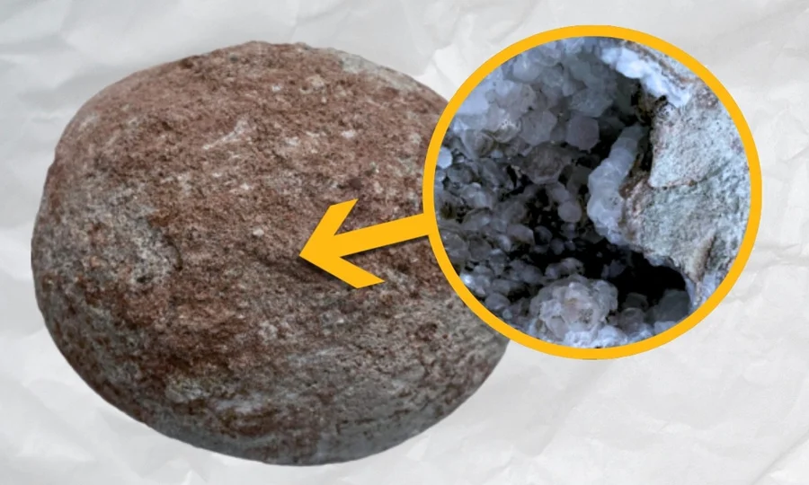 چین میں 70 ملین سال پرانا ڈائنوسار کا انڈا دریافت، حیران کن قدرتی کرسٹل نکل آئے