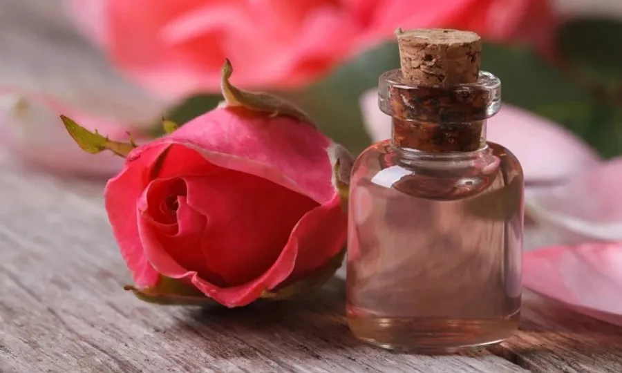 گلاب کے تیل سے منفرد گلو تیار، خصوصیات جان کر حیران رہ جائیں گے