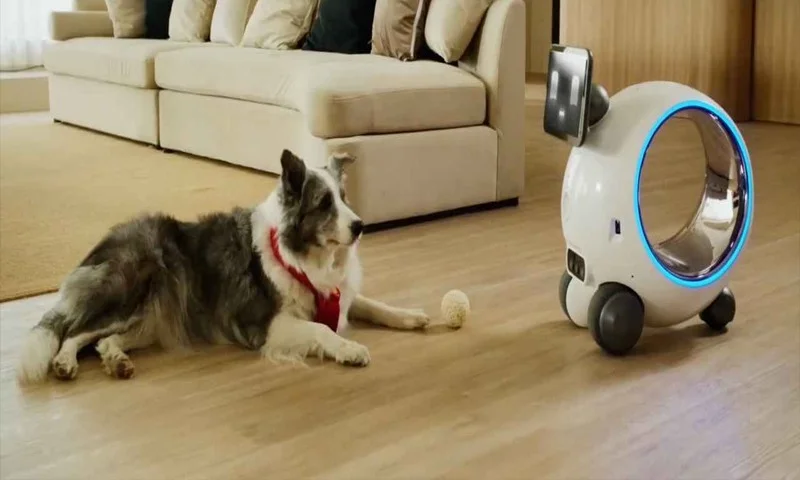 مصنوعی ذہانت نے پالتو جانوروں کو اکیلا گھر میں چھوڑنے کا حل نکال لیا