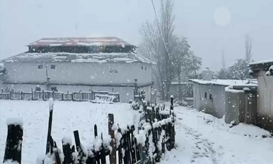 شدید برفباری سے نظامِ زندگی مفلوج؛ مکانات اور درخت گر گئے، سڑکیں بند، درجنوں افراد ریسکیو