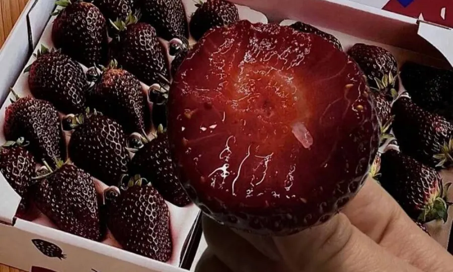 بلیک پرل اسٹرابیریز، چینی سوشل میڈیا پر نیا فوڈ ٹرینڈ