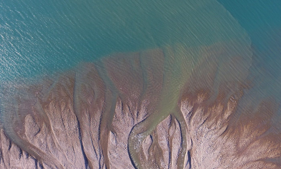 سمندر کی تہہ میں اچانک اندھیرا: ساحلی ماحولیاتی نظام کے لیے نیا خطرہ