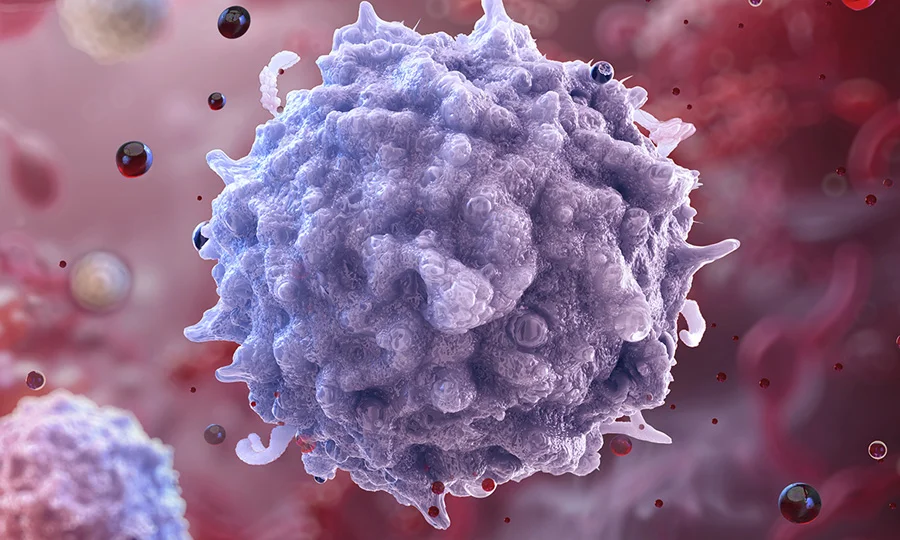 بڑھاپے میں مدافعتی نظام کو دوبارہ جوان بنانے کا طریقہ دریافت