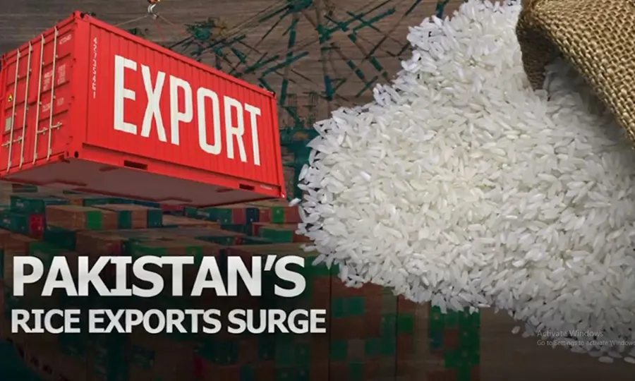 سال 2026 کا شاندار آغاز؛ پاکستان کے زرعی شعبے میں خوش آئند پیش رفت