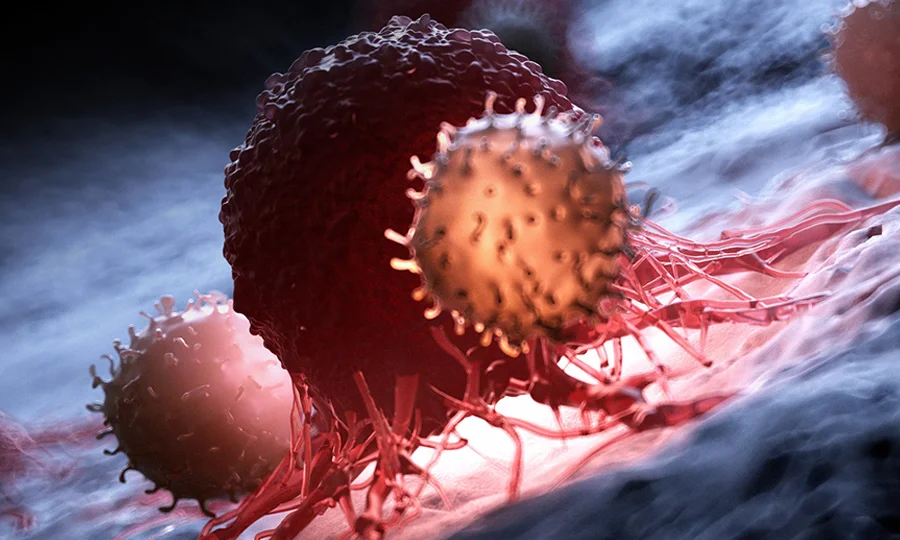 کینسر کے خلاف بڑی سائنسی کامیابی، حفاظتی نظام سامنے آگیا