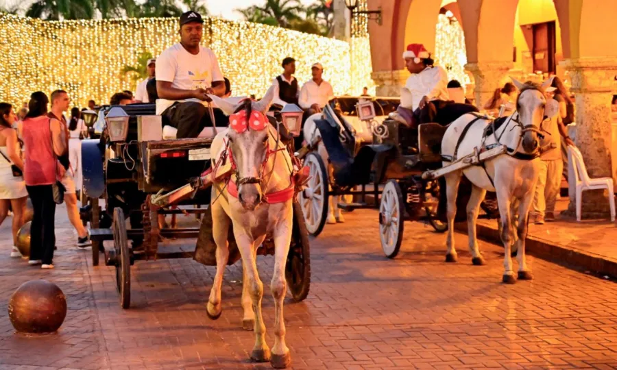 گھوڑے انسانی خوف کو محسوس کر سکتے ہیں، تحقیق