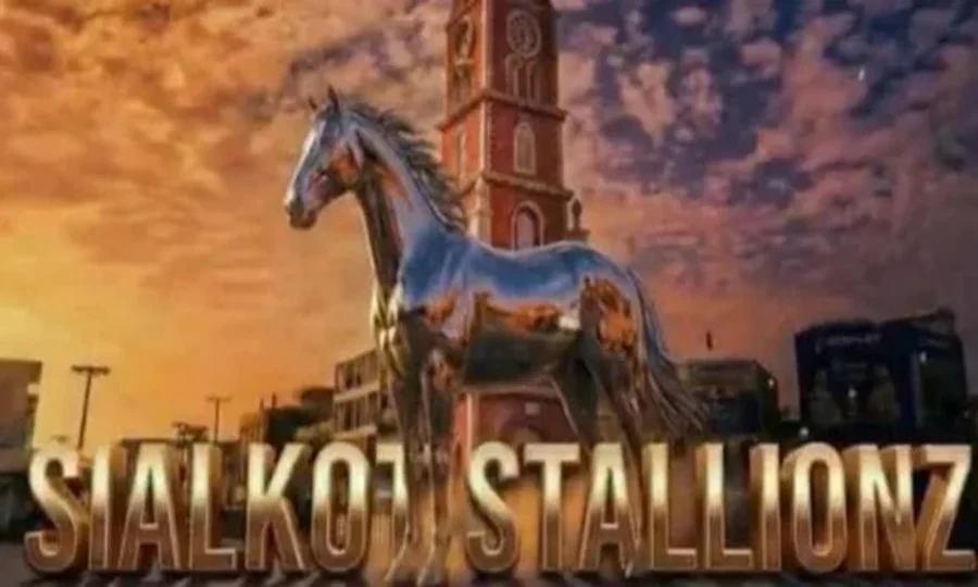 سیالکوٹ اسٹالینز انتظامی بحران کا شکار، اہم عہدیداروں کی علیحدگی