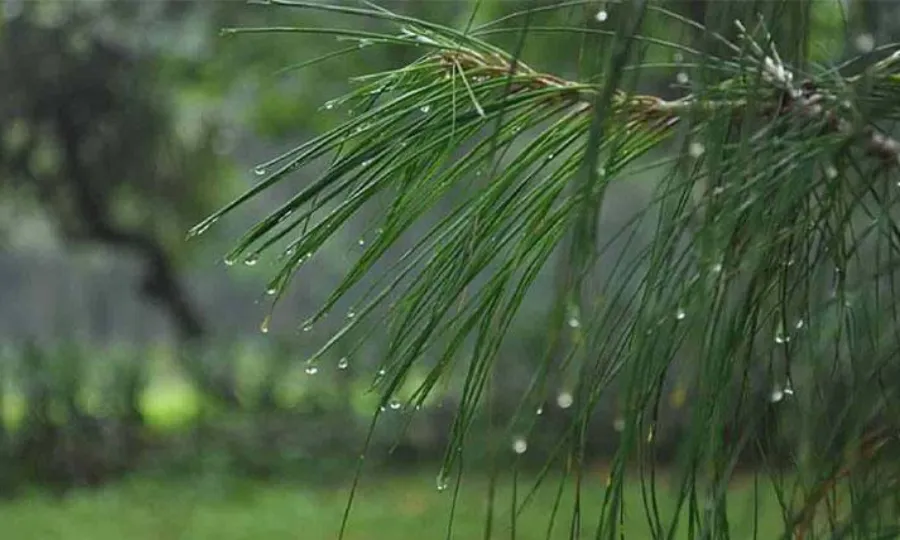 شہرقائد میں آج ہلکی بارش یا بونداباندی متوقع