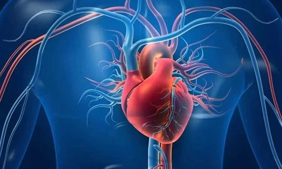 رمضان کے روزے دل کے دورے کے خطرے میں کمی لاسکتے ہیں، ماہرین صحت