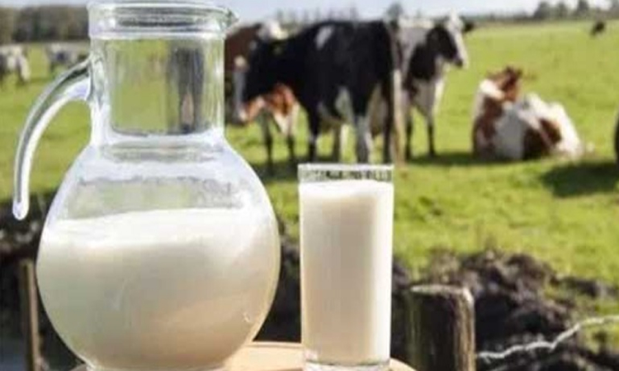 پاکستان بزنس فورم کا دودھ والی کمپنیوں کی قیمتیں ریگولیٹ کرنے کا مطالبہ