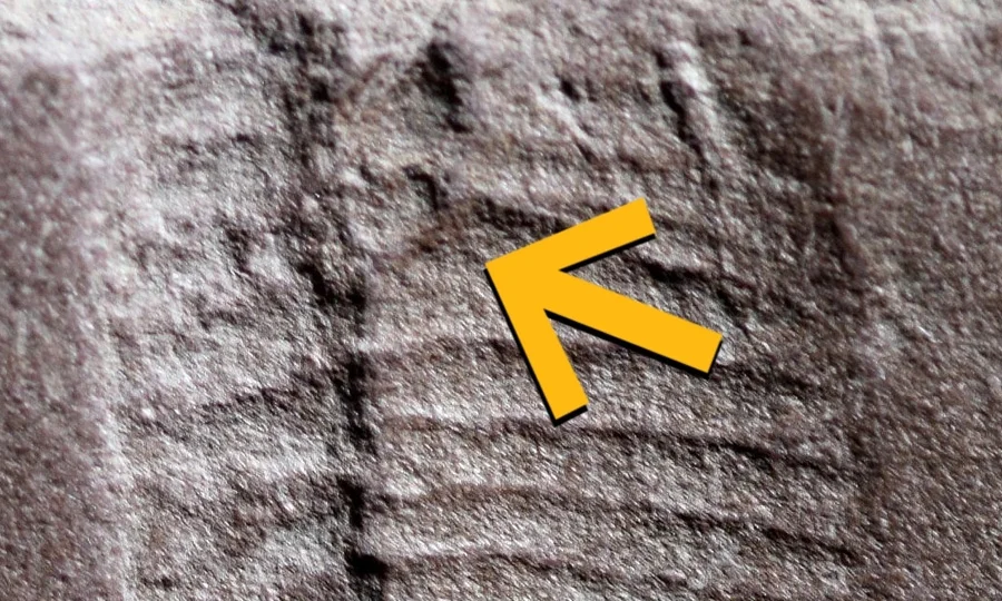 تقریباً 29 کروڑ سال پرانے رینگنے والے جانور کے نشان کی حیران کن دریافت