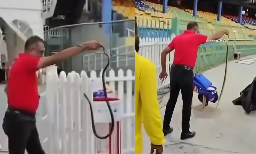 پاک بھارت میچ سے قبل کولمبو اسٹیڈیم میں 4 فٹ لمبا سانپ گھس آیا