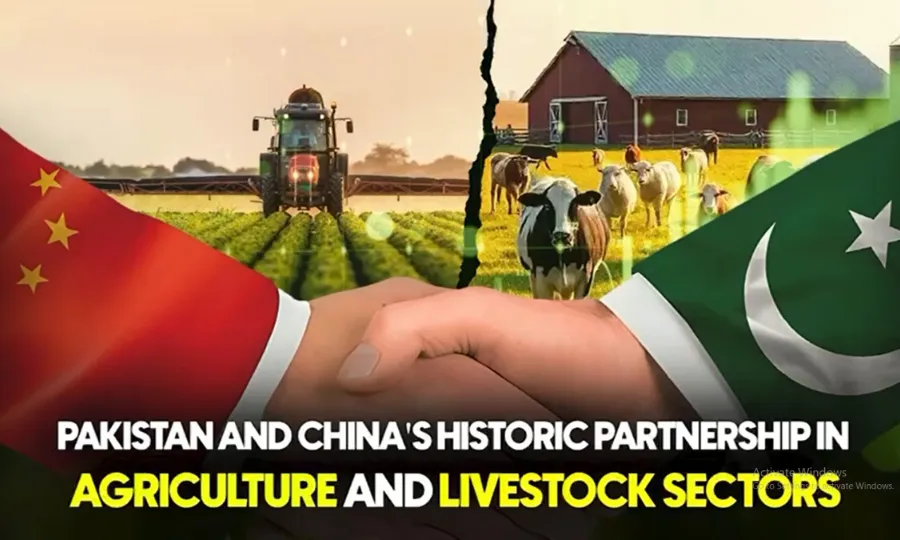 پاکستان اور چین کی زرعی و لائیواسٹاک شعبے میں تاریخی شراکت داری