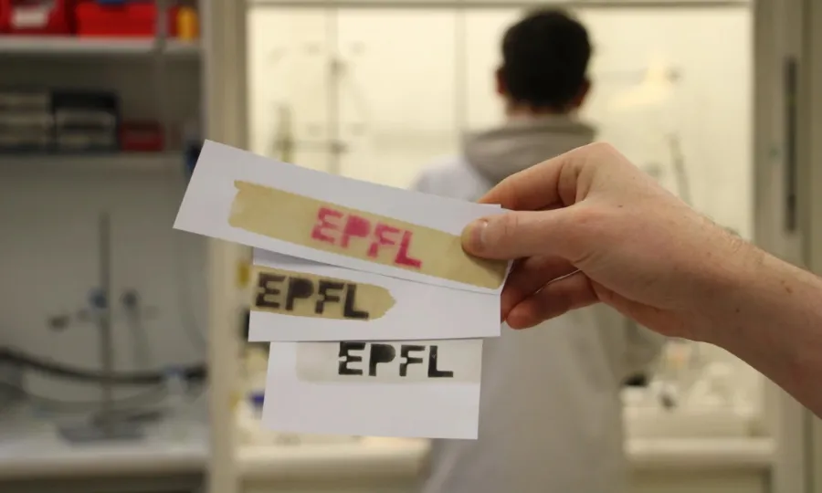 لکڑی سے حاصل شدہ پولیمر نے تھرمل پیپر کو ماحول دوست بنا دیا