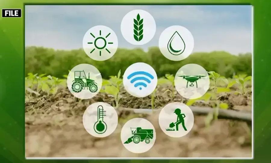 گرین پاکستان انیشیٹو کی رہنمائی میں ڈے زی پرائیویٹ لمیٹڈ کی شاندار کارکردگی