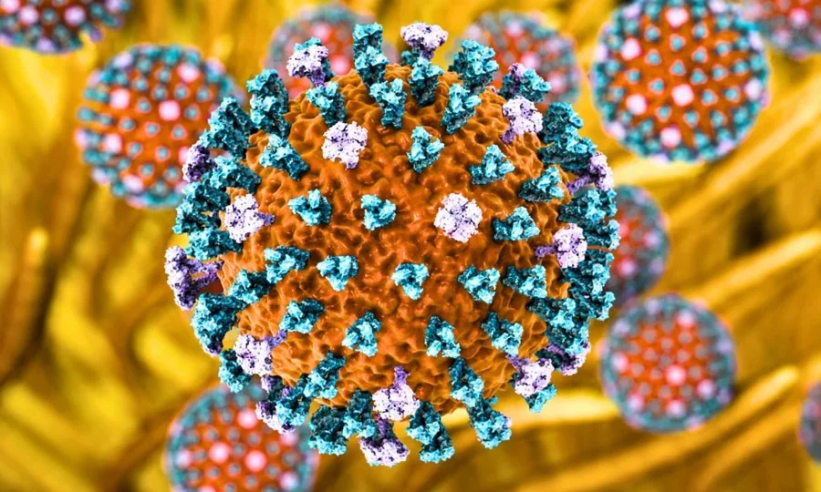 یورپ میں برڈ فلو کا پہلا انسانی کیس رپورٹ، اطالوی حکام نے الرٹ جاری کردیا