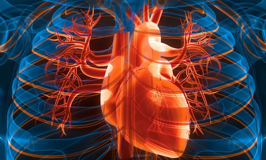 دل کے دورے اور فالج سے بچاؤ؛ روزانہ کی تین چھوٹی عادتیں جو آپ کی زندگی بدل سکتی ہیں