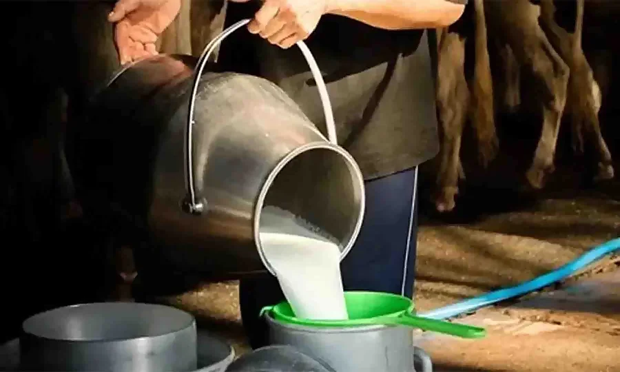 کراچی کے شہریوں کے لیے بُری خبر، دودھ 300 روپے فی لیٹر کرنے کا فیصلہ