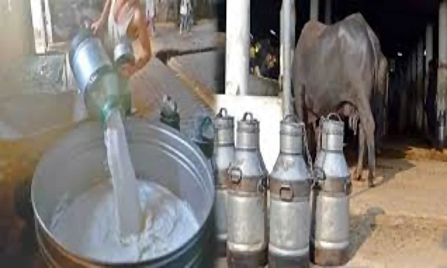 کراچی میں دودھ 100 روپے مہنگا ہونے کا خدشہ، ڈیری فارمرز کا قیمت فوری بڑھانے کا مطالبہ