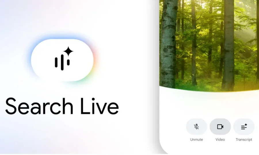 گوگل سرچ لائیو اب مختلف زبانوں اور مقامات پر دستیاب