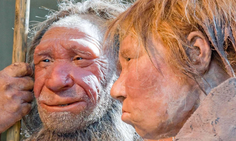 انسانی عورتیں اور نیندرتھل مرد، نیا جینیاتی راز فاش