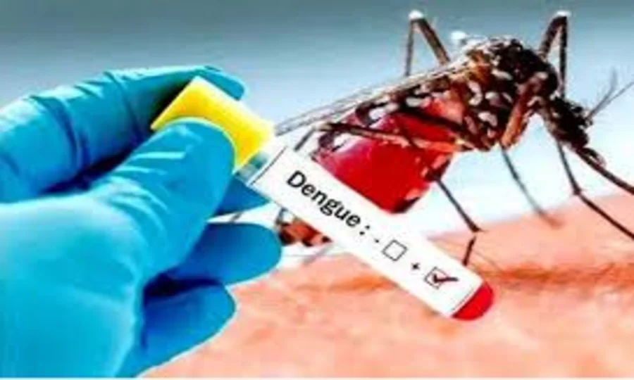 اسلام آباد میں ڈینگی پھیلاؤ کا خدشہ، قومی ادارہ صحت کی ایڈوائزری جاری