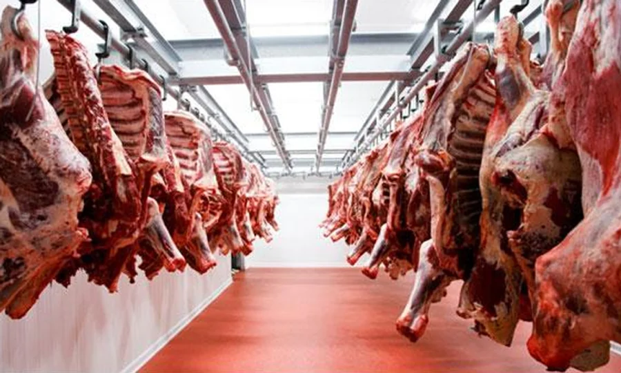 کارگو کمپنی کے اضافی لاجسٹک چارجز، گوشت برآمدات کو خطرہ