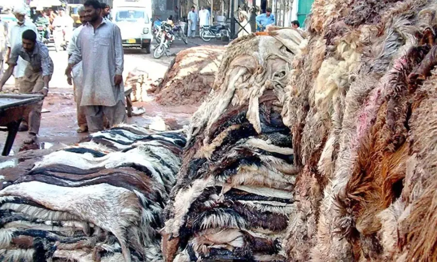 Millions of animal skins on Eid-ul-Adha, what will be the total value?