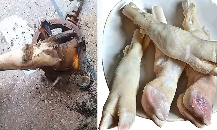 پنجاب حکومت نے سری پائے پر پابندی کے لیے دفعہ 144 نافذ کر دی