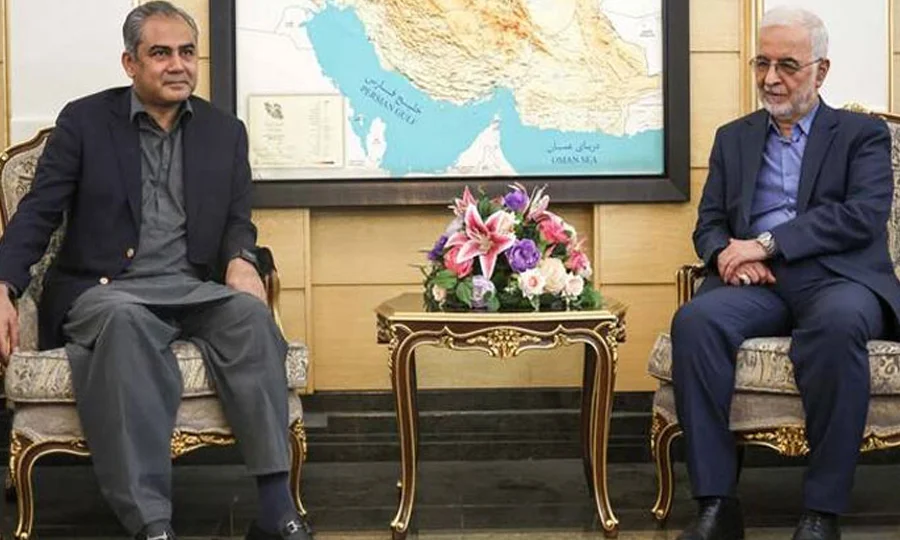تہران میں پاکستان اور ایران کے وزرائے داخلہ کی ملاقات، امن و استحکام پر اتفاق