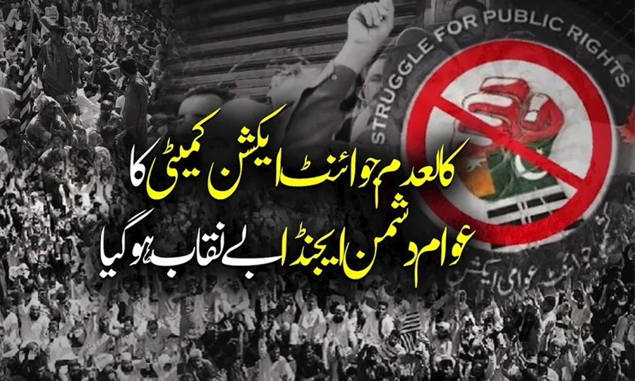 کالعدم جوائنٹ ایکشن کمیٹی کا عوام دشمن ایجنڈا کھل کرسامنے آگیا