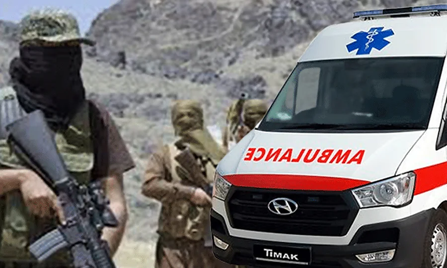 ماشکیل میں دہشت گردوں کی بزدلانہ کارروائی، پنجاب کے 5 مزدور شہید