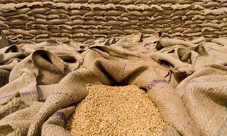 گندم اسکینڈل، سندھ حکومت نے 8 افسران کو نوکریوں سے فارغ کردیا، ریکوری کا حکم