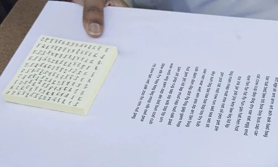 خاتون نے اسٹکی نوٹ پر سب سے زیادہ الفاظ لکھ کر عالمی اعزاز اپنے نام کر لیا