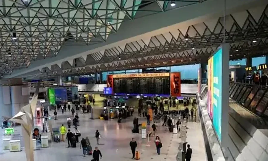 جرمنی میں مسافر طیارے کے ذریعے آنے والے ایک مچھر نے 2 افراد کی جان لے لی