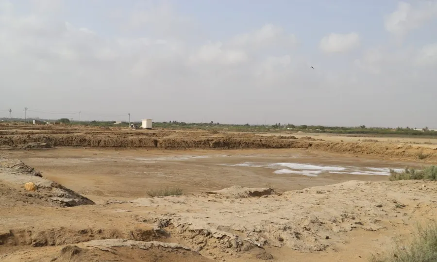 نیب کی بڑی کارروائی؛ دھابیجی، ٹھٹھہ کی 435 ایکڑ سرکاری اراضی واگزار کرالی گئی