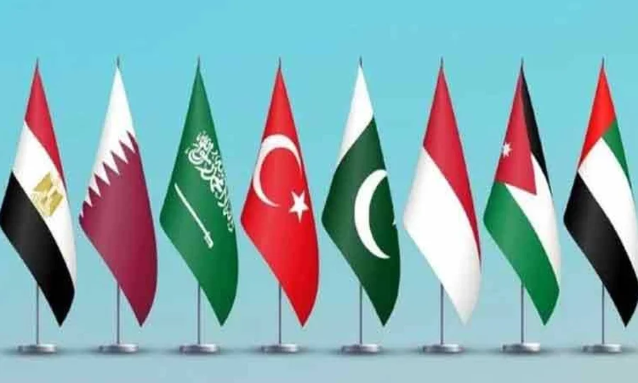 غزہ میں اسرائیلی کارروائیوں پر پاکستان سمیت 8 عرب و اسلامی ممالک کی شدید مذمت