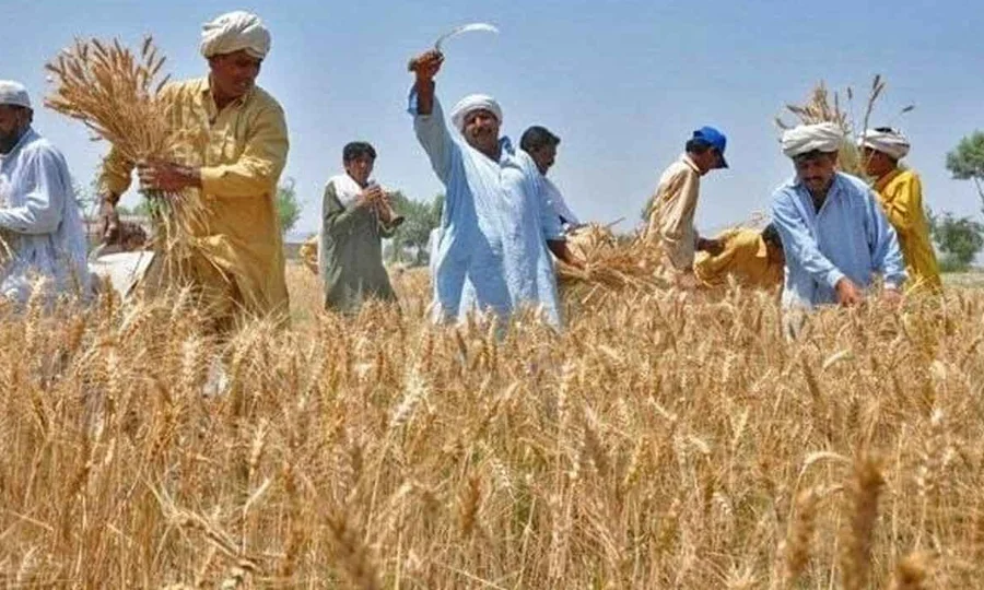 حکومت کا آئی ایم ایف کو منانے کے لئے کاشتکاروں پر انکم ٹیکس وصولی پر غور